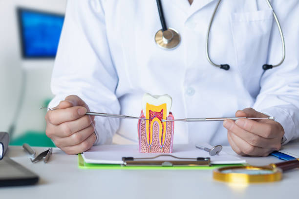 Best Emergency Wisdom Teeth Removal in Escatawpa, MS